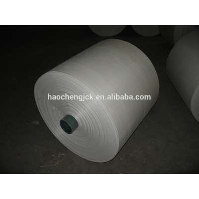 pp roll woven fabric